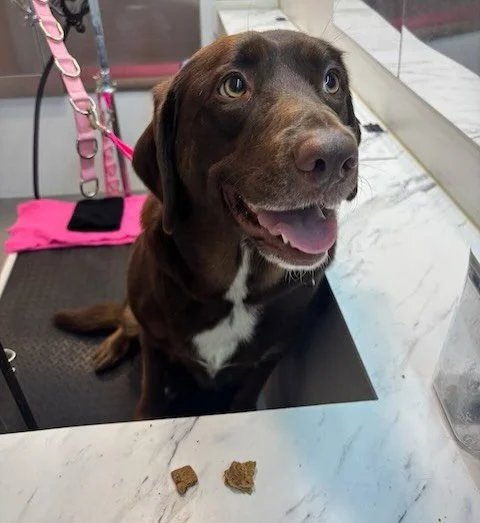 Is this for me? 😁 I LOVE after-bath snacks ❤️