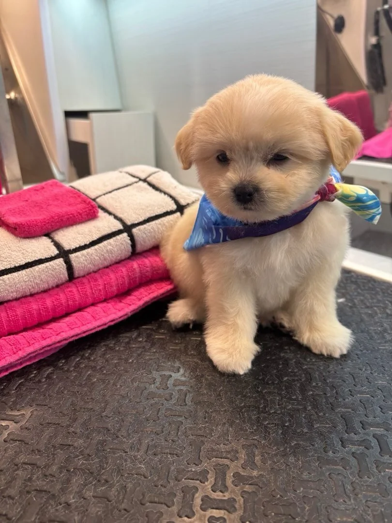 Warm bath then soothing haircut makes me feel sleepy 💤🥱