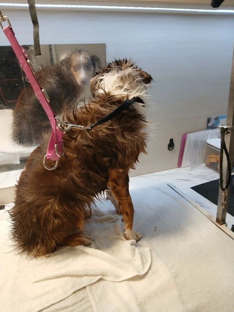 Self reflection 💭