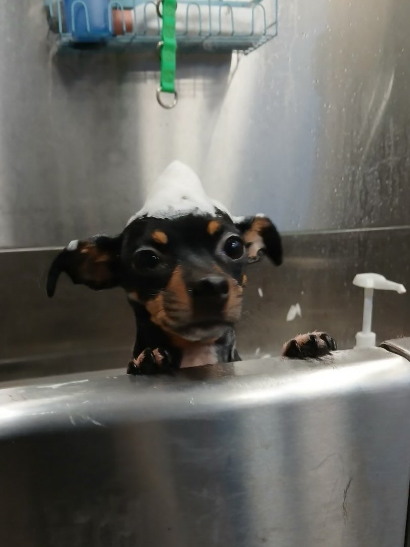 Hellooo? Let&rsquo;s keep going. I need more rubbing on the chest, please. ❤️