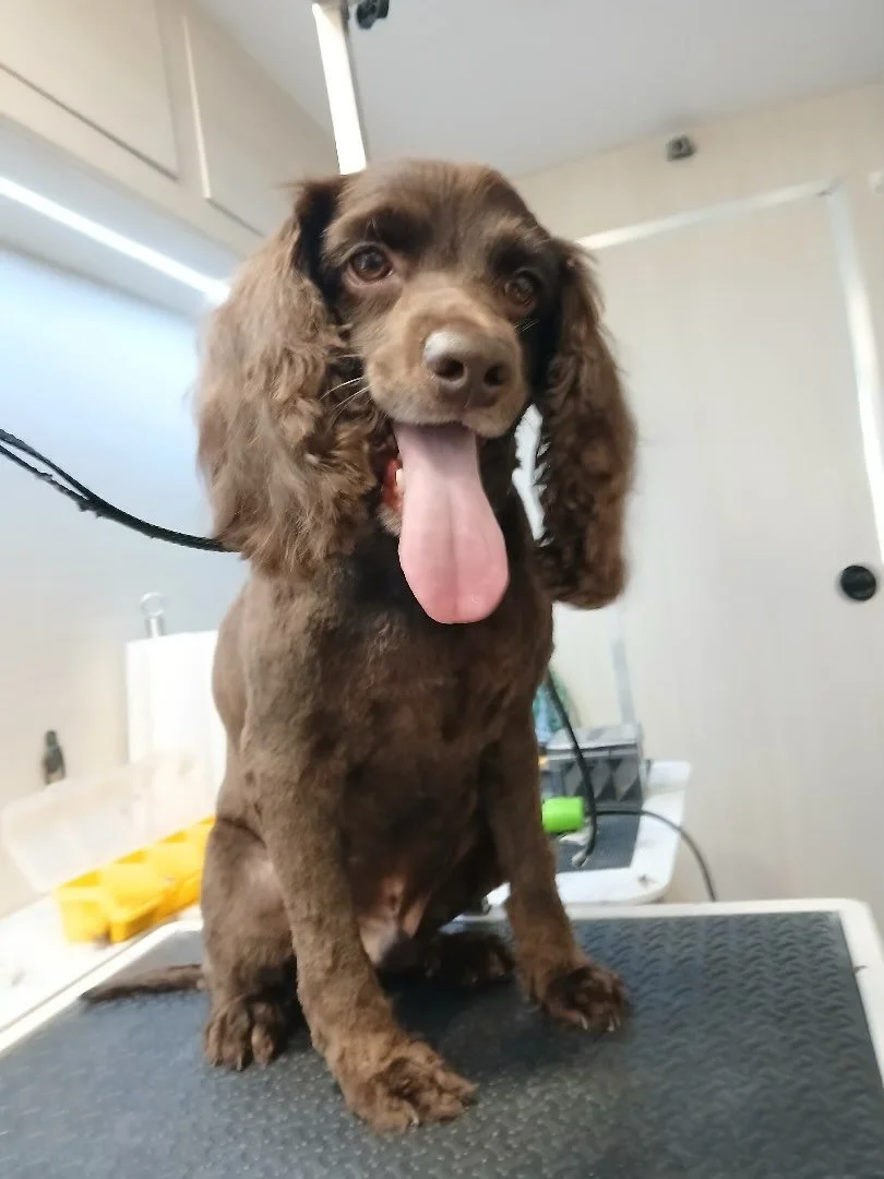 The bath time is the best time! 🛁