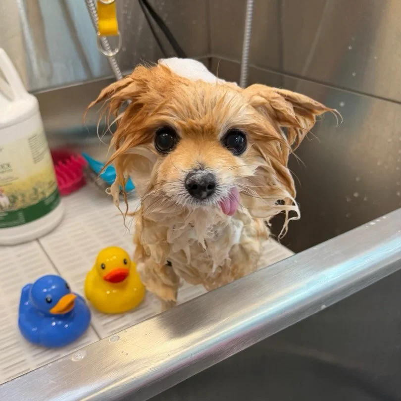 My mom loves it when I make this face 😜