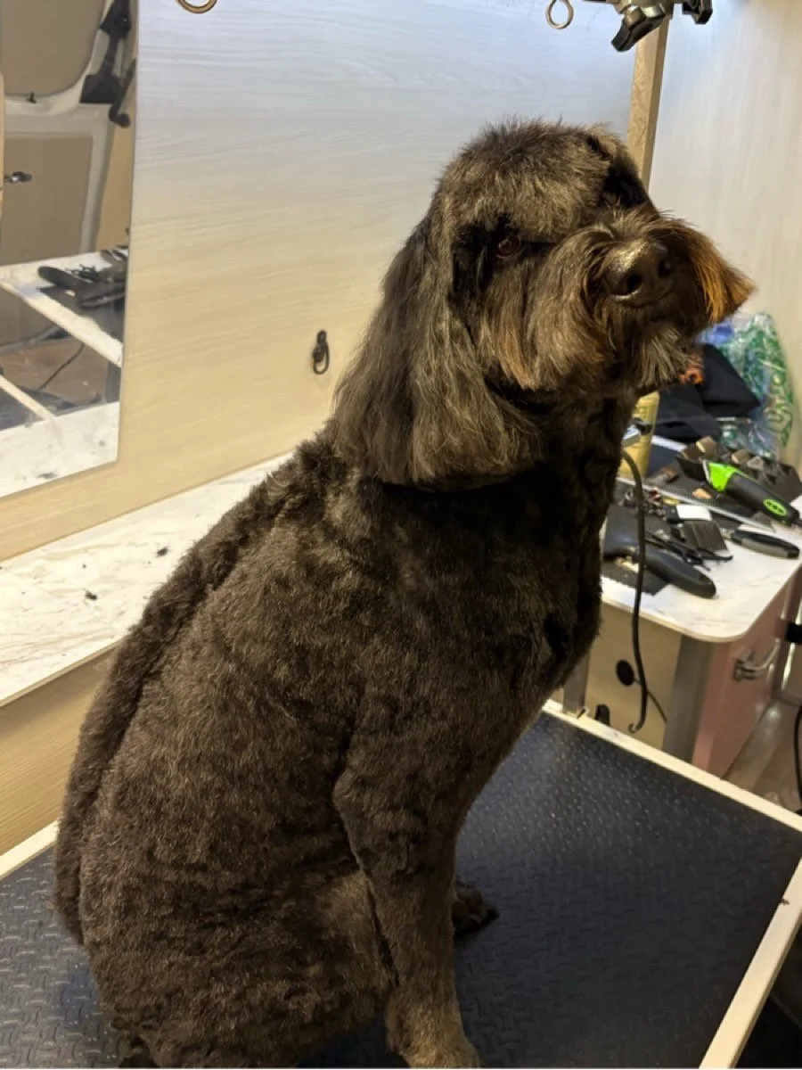 Love this after-spa feeling 🌸