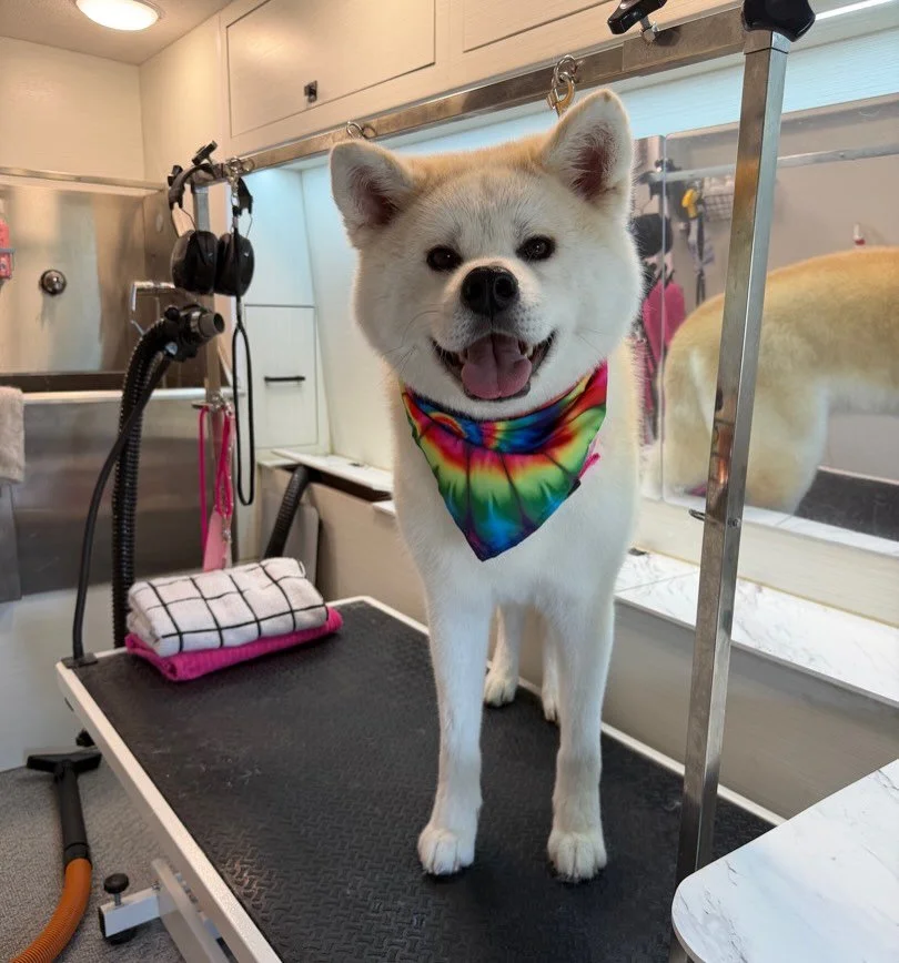 Mommy, let&rsquo;s go promenade! 🎩