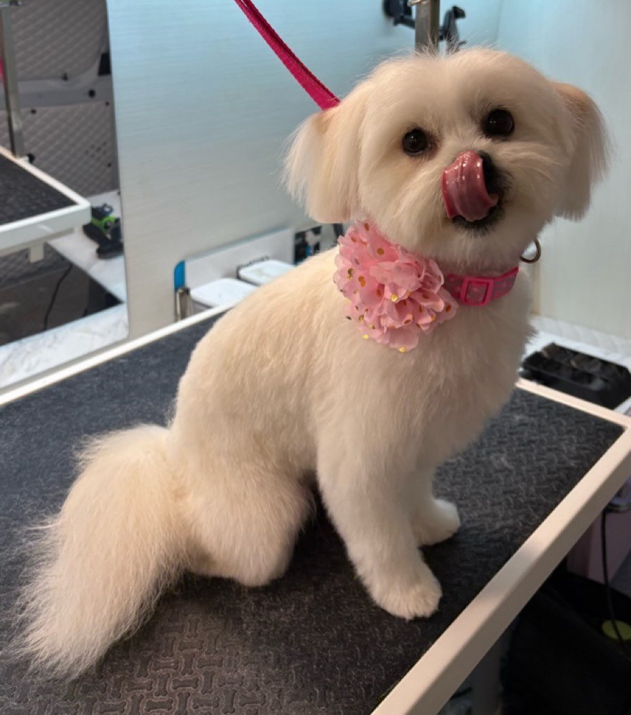 I am ready to go and melt some hearts! 💕