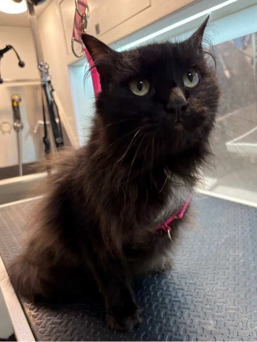 I want to go hug my mom. 💕