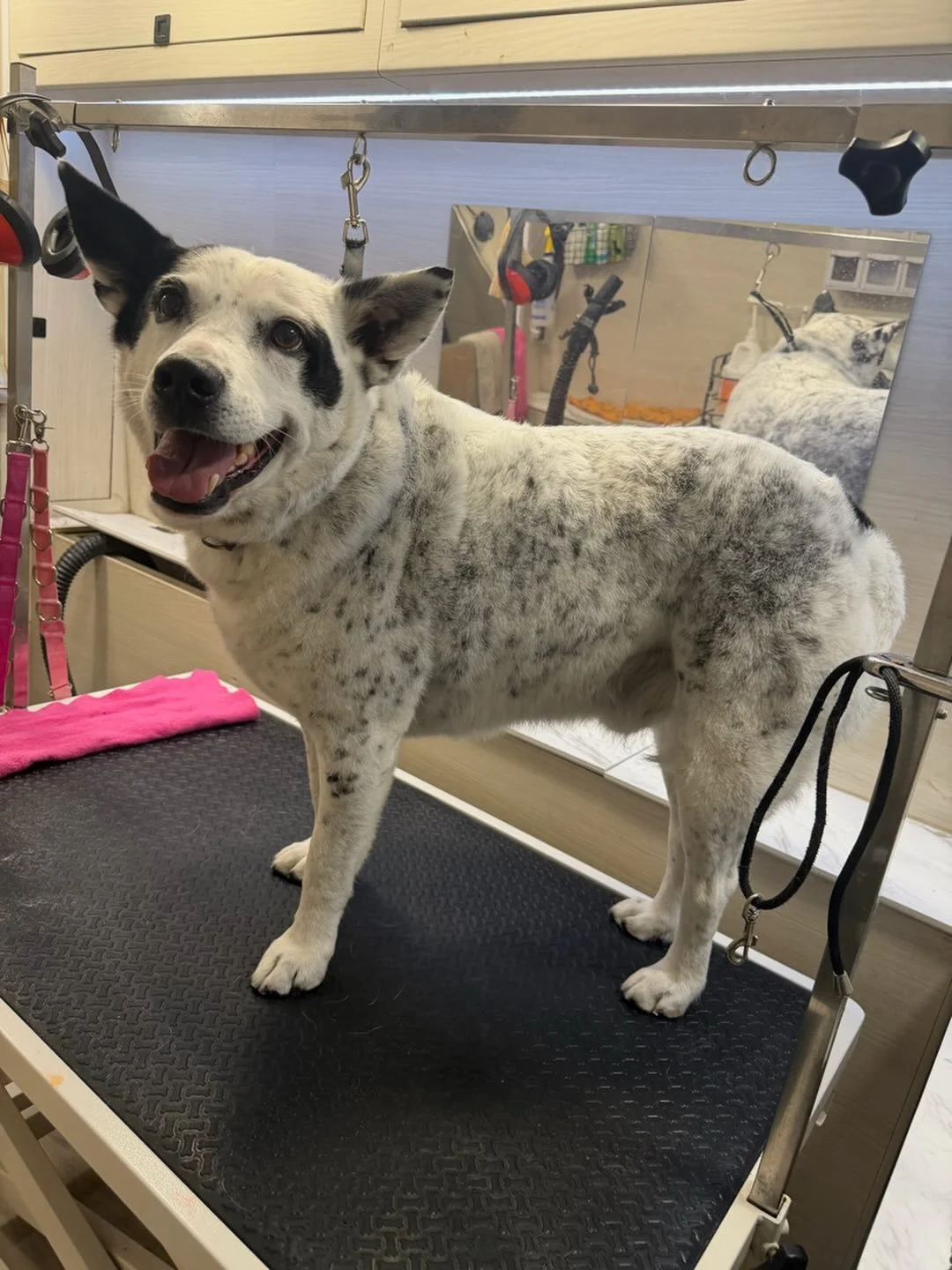 Do you want to meet a handsome boy?