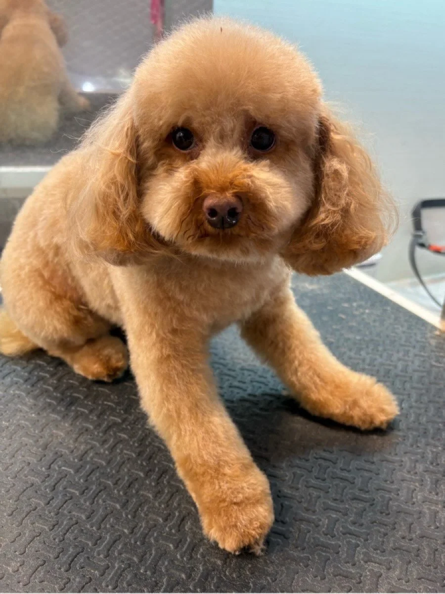 My hair is perfect 🤩