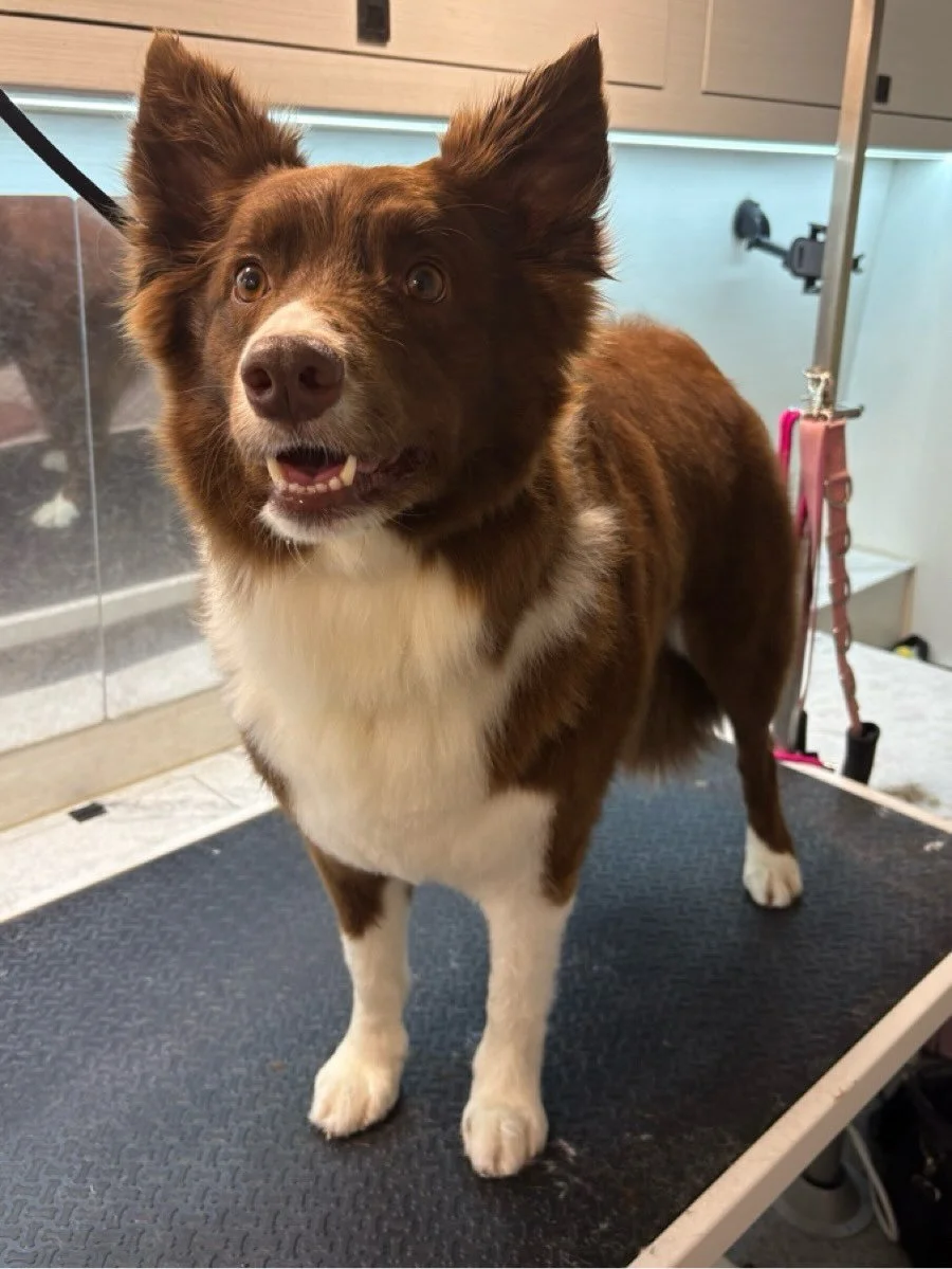 My soft coat feels so cozy🥰