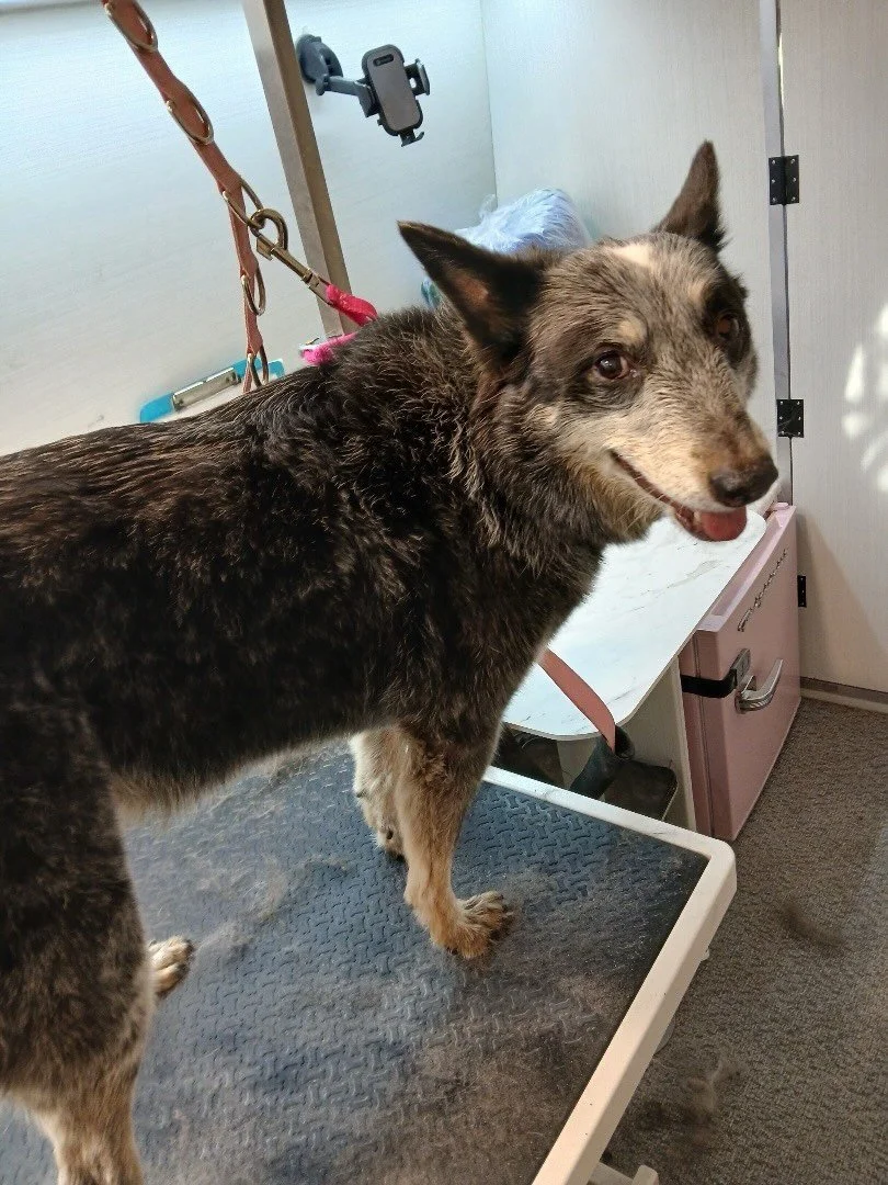 I was scared at first, but I really had a good time 😆🌻