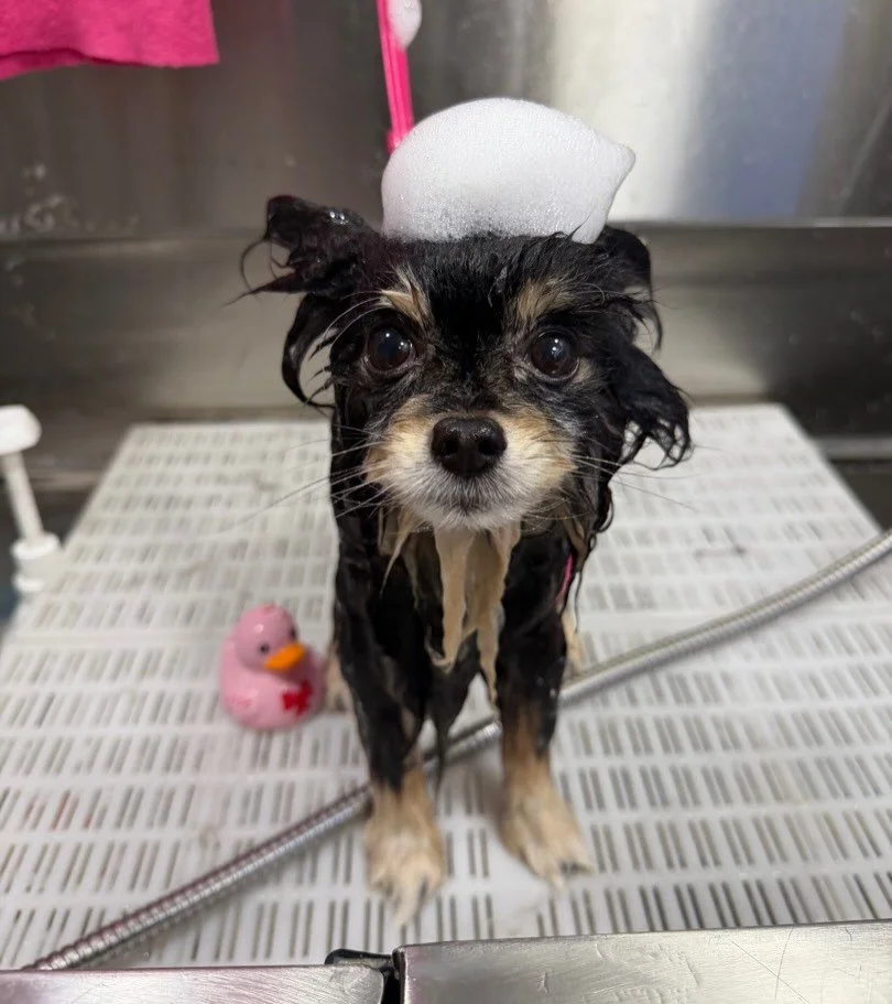 I am so beautiful 🥹