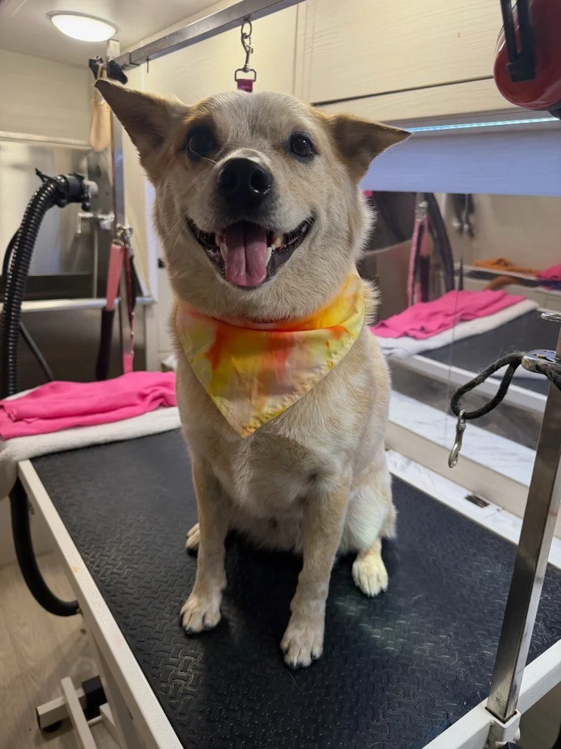 Hehe Ducky and I showered together and it was fun 🤩