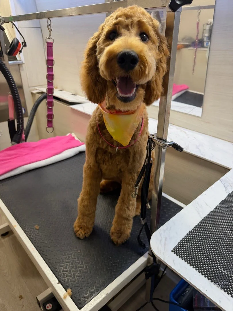 Mom I love this Spa 💕