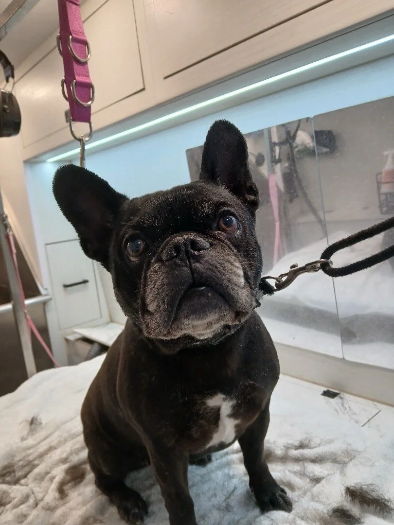 Mom, did my brain got washed away with the soap?