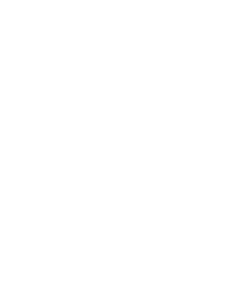 Myvox