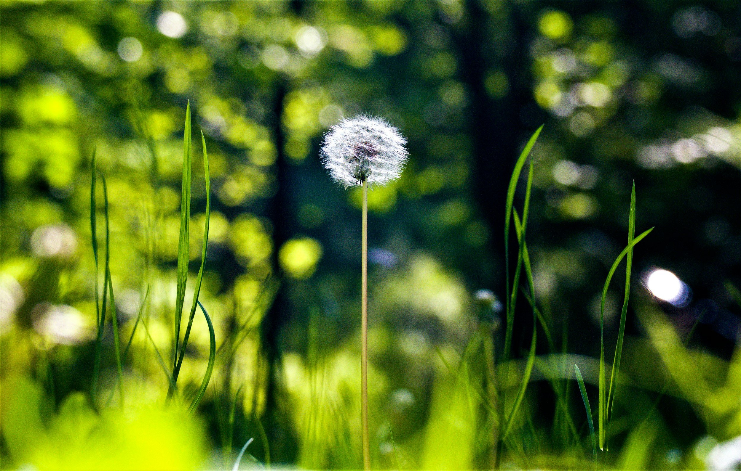 Mindfulness Mondays