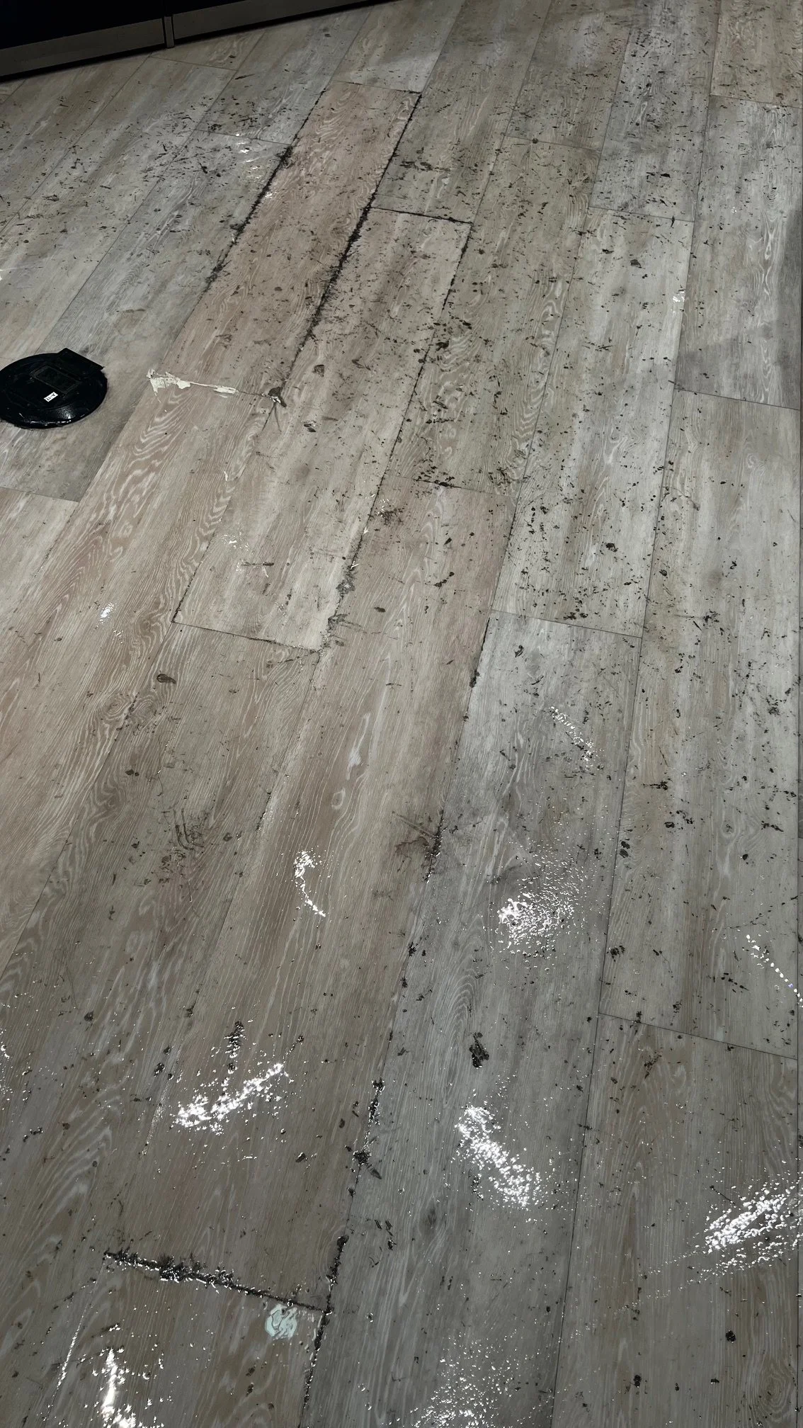 Dirty wooden floor with black debris and white splatters, a black robotic vacuum on the left side.