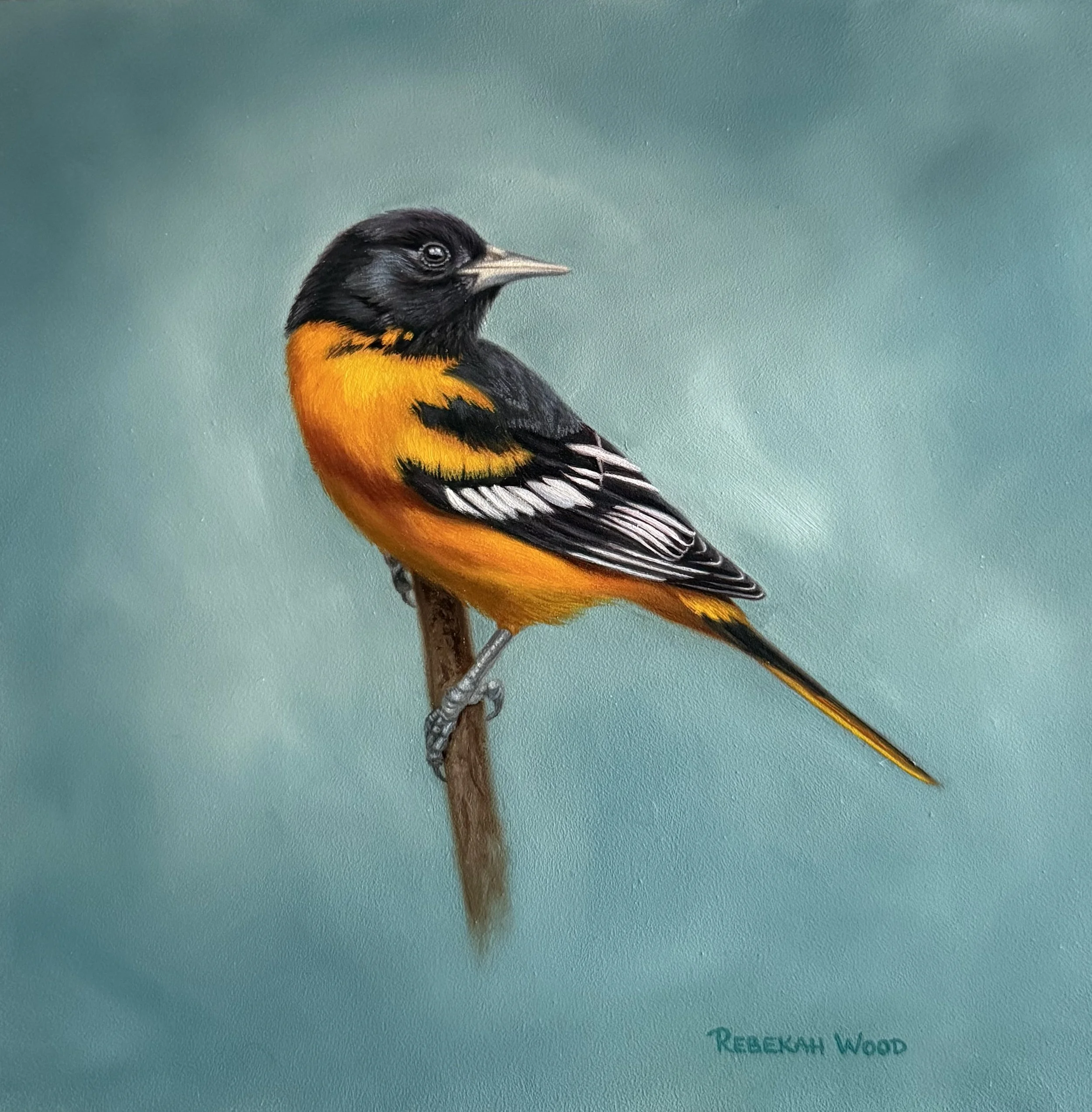 Oriole