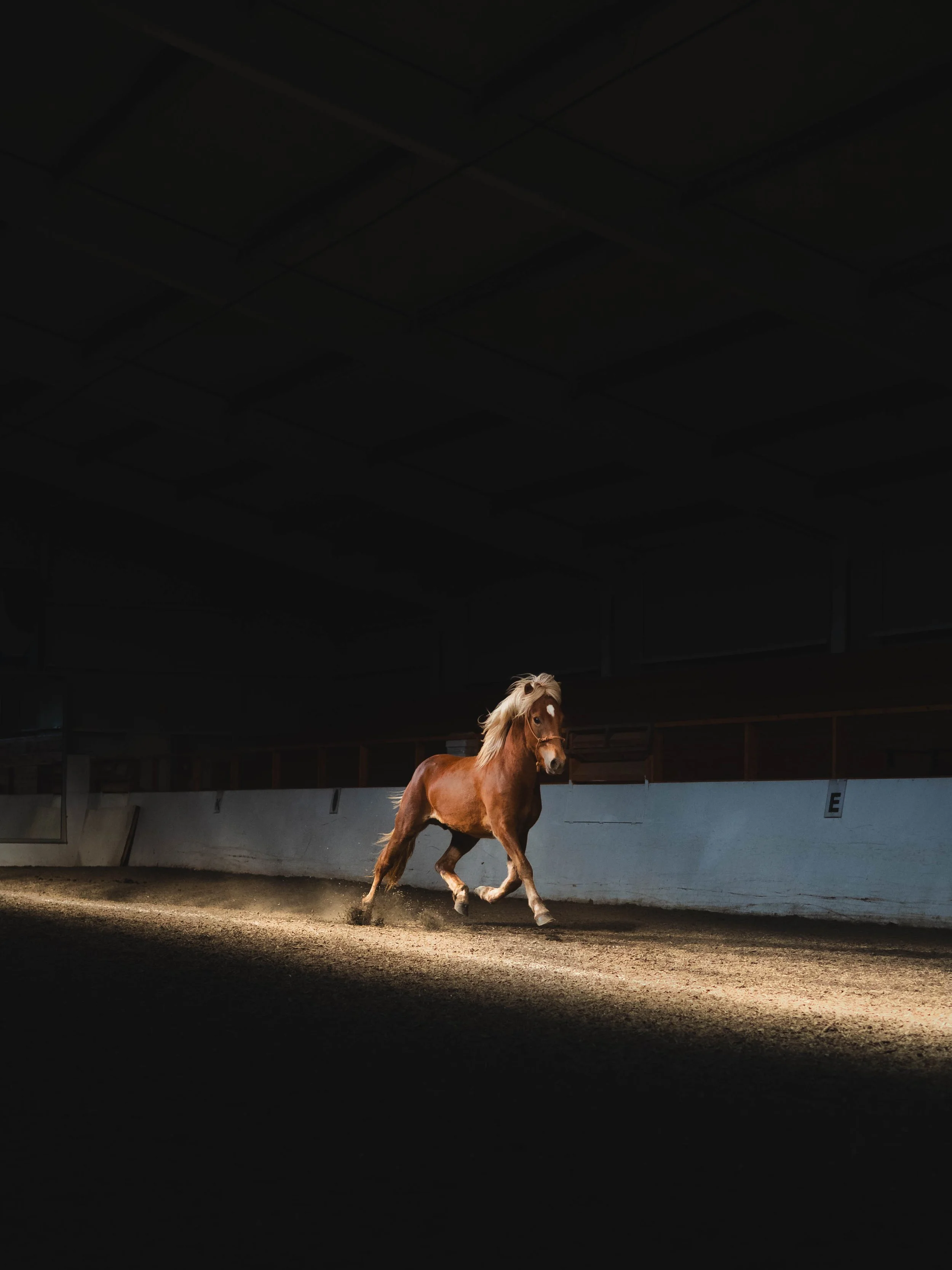 A Collection - Iceland - 1200724.jpg