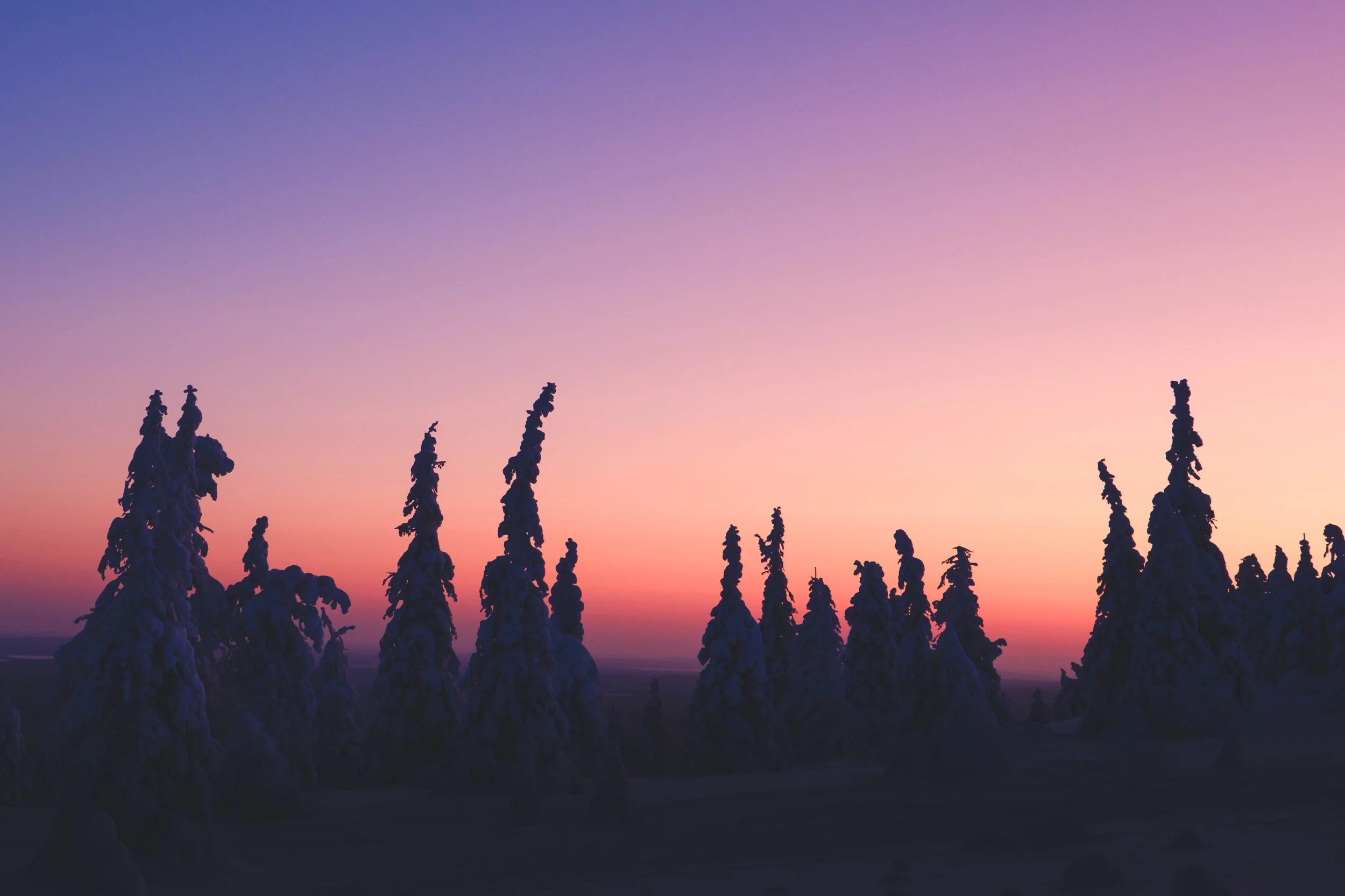 Finnish Lapland - 1068.jpg