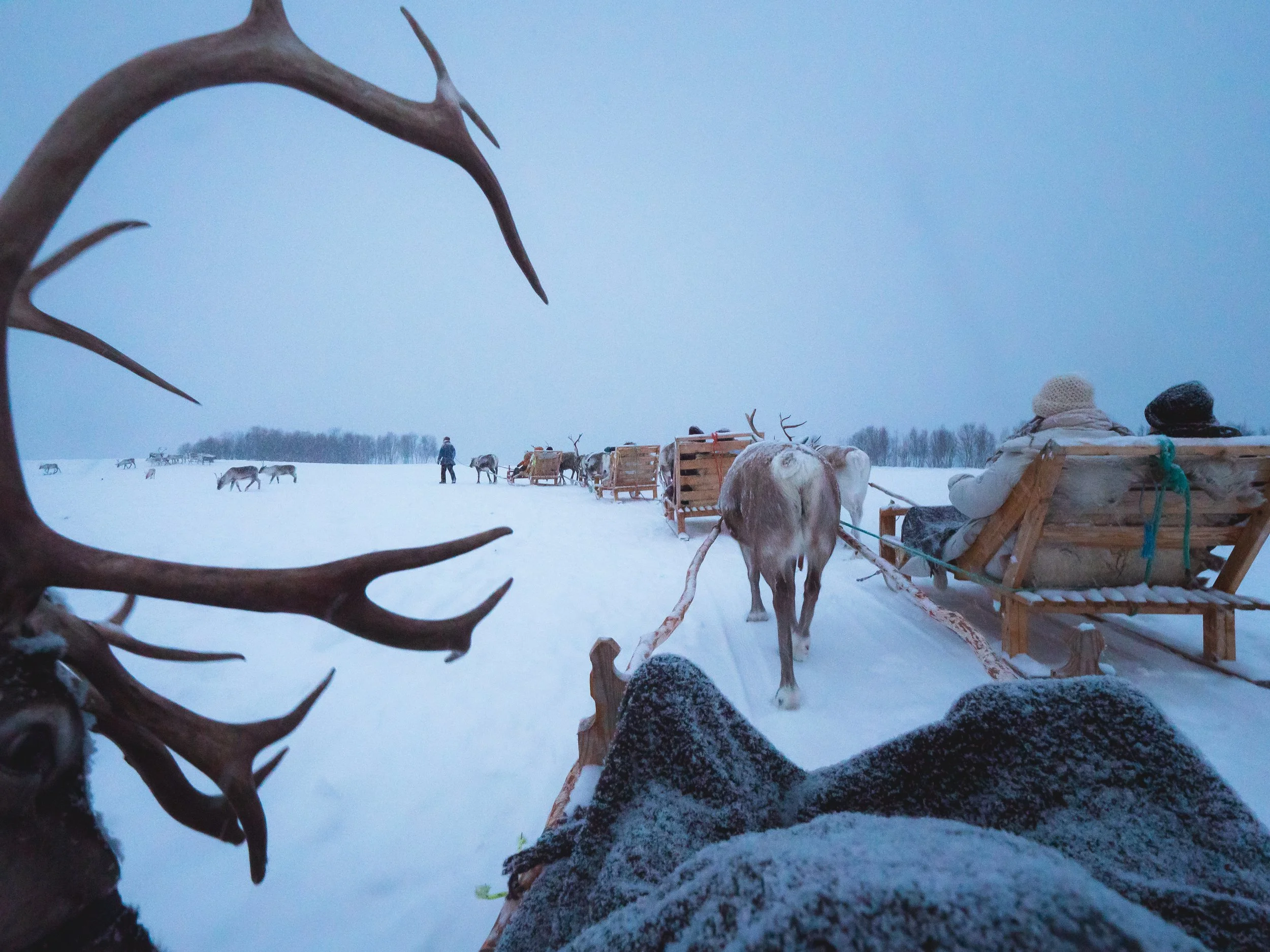 Inside the Arctic Circle- A Trip to Tromso - 1322887.jpg