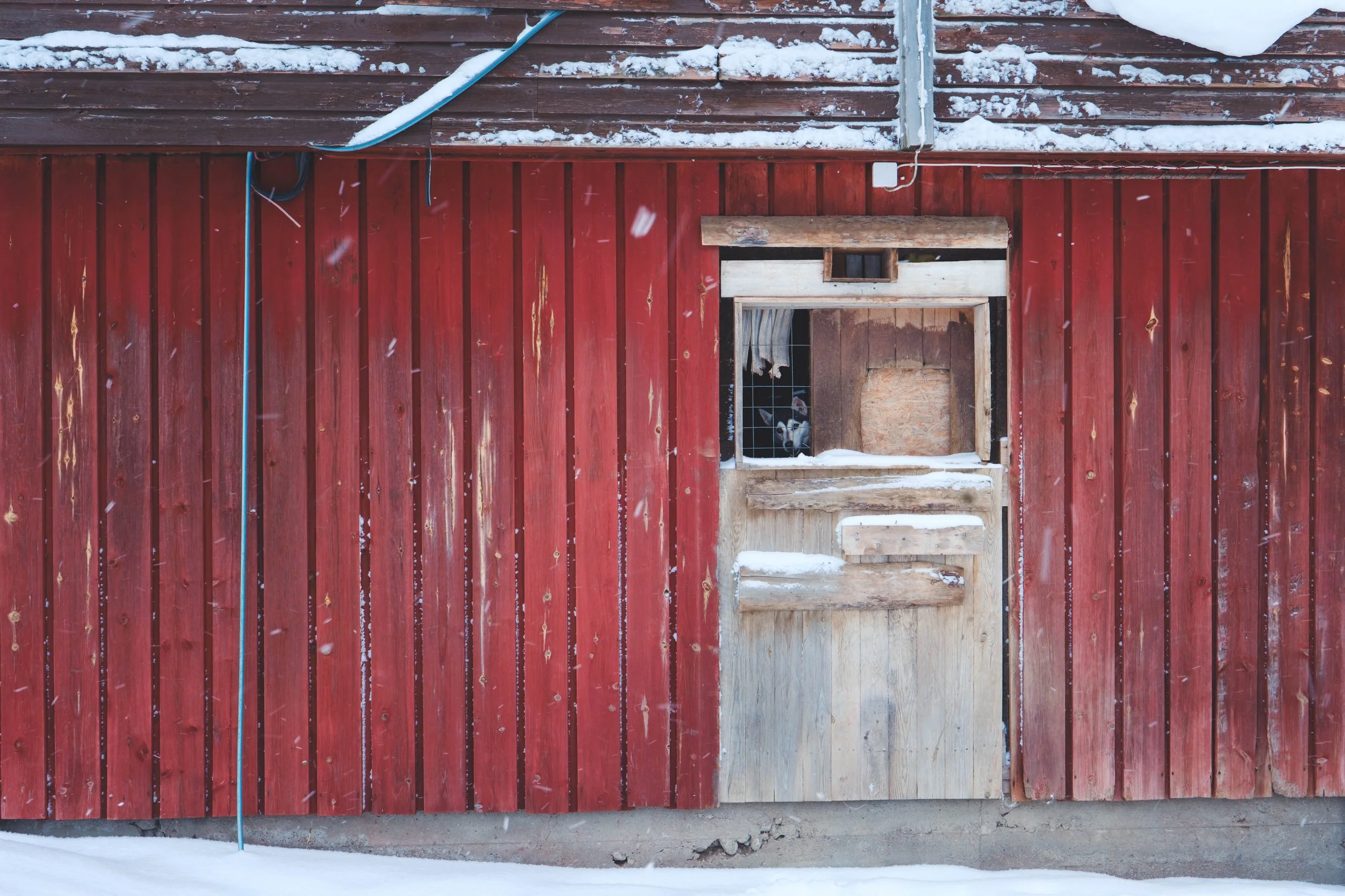 Finnish Lapland - 0212.jpg