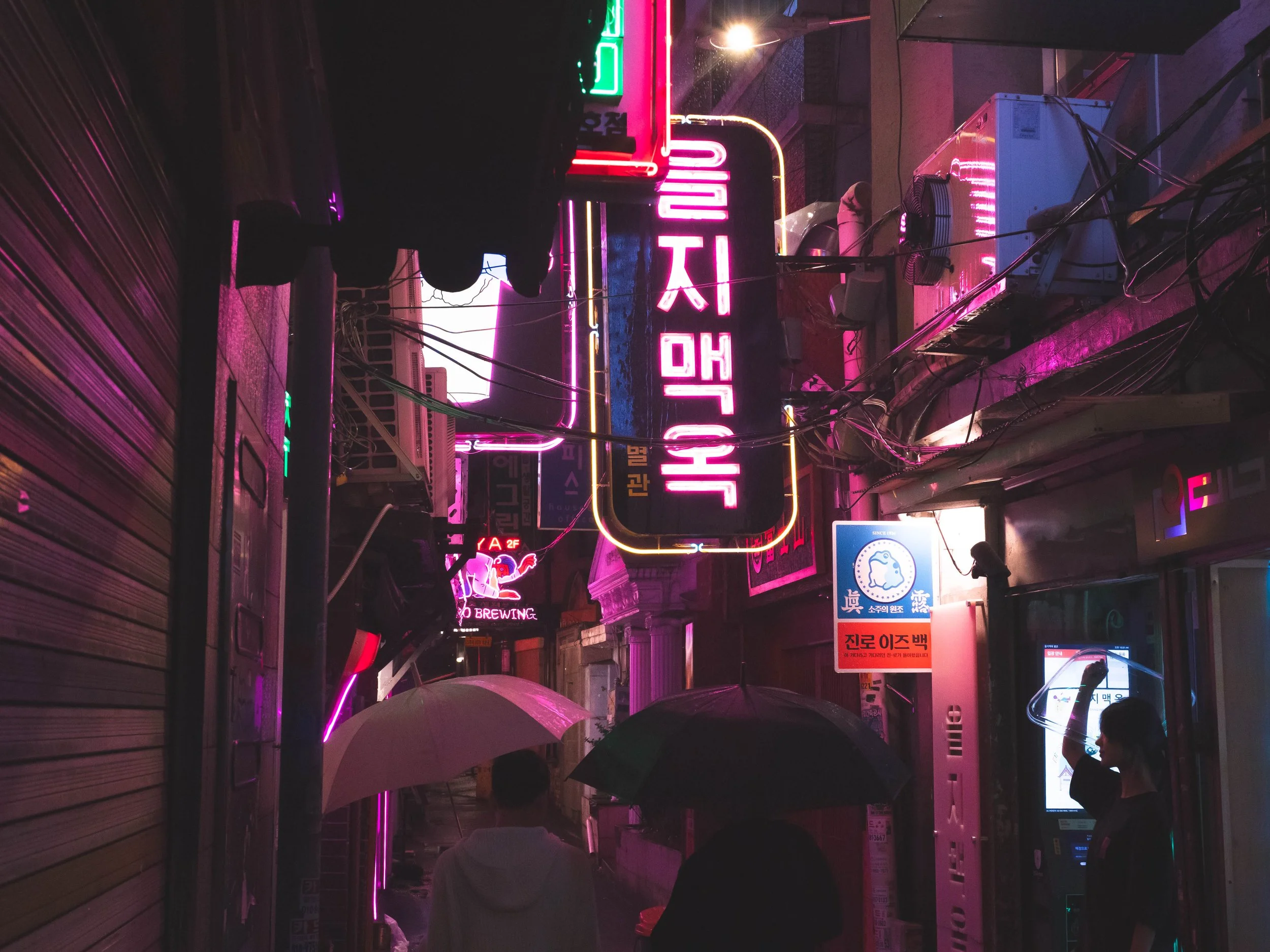 2024 - 10 Korea - 1711129.jpg
