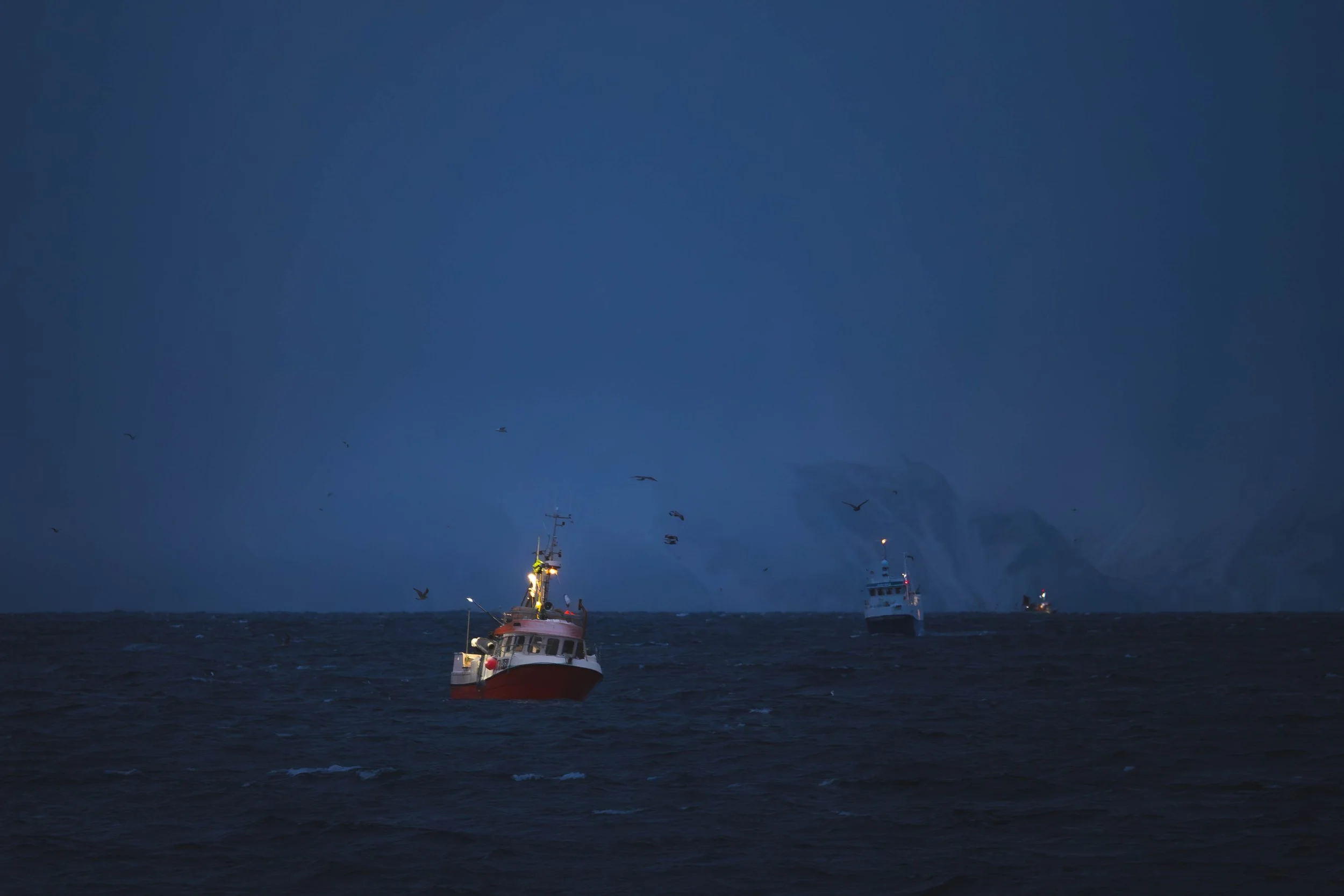 2022-01 Norway - 1333791.jpg