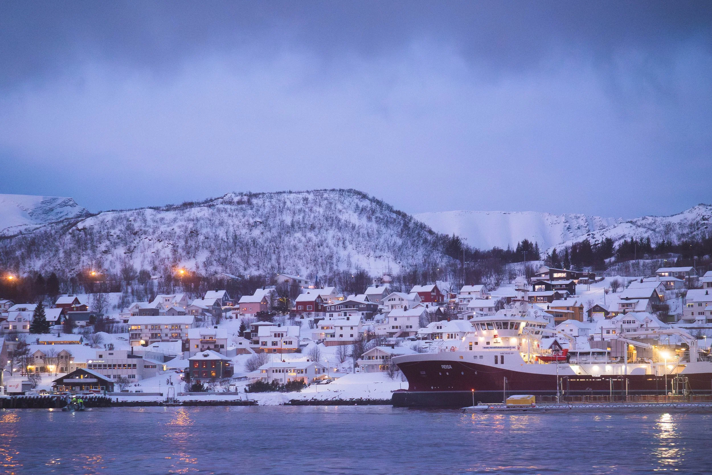 2022-01 Norway - 1355532.jpg