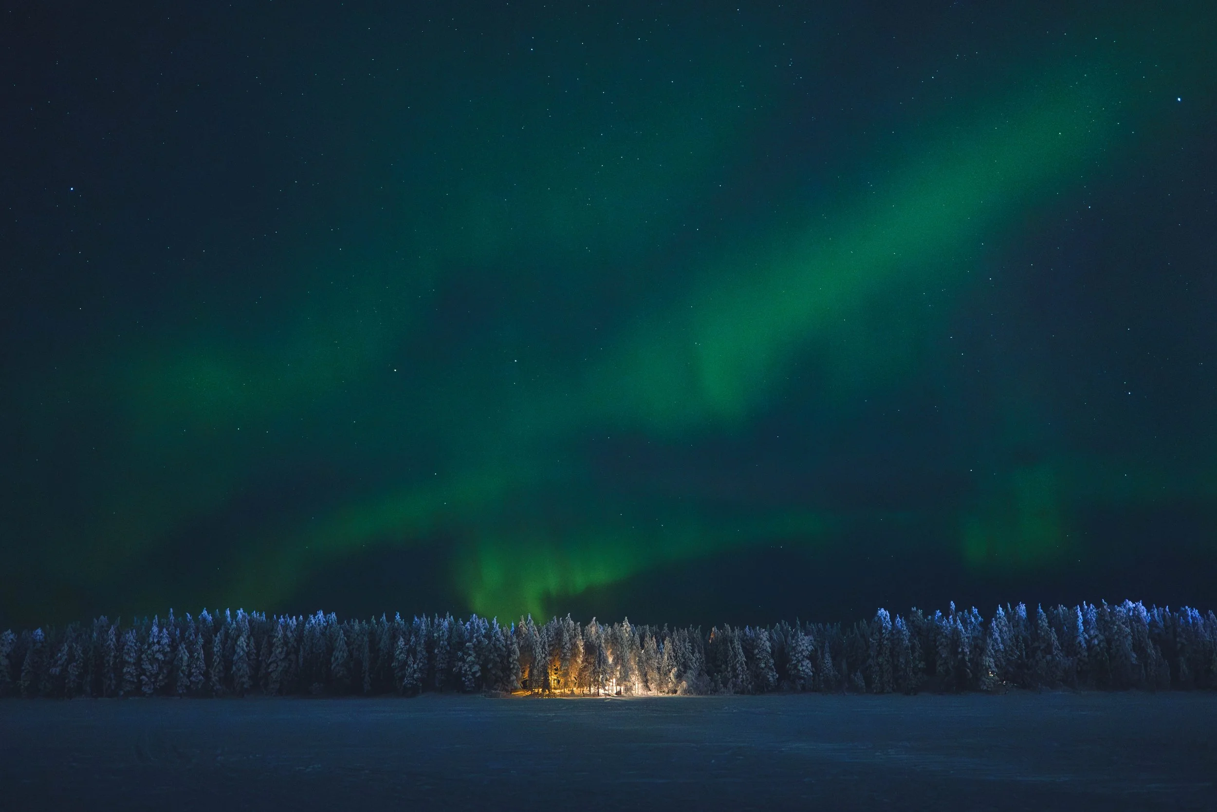 2026-02 Finland - 3671.jpg