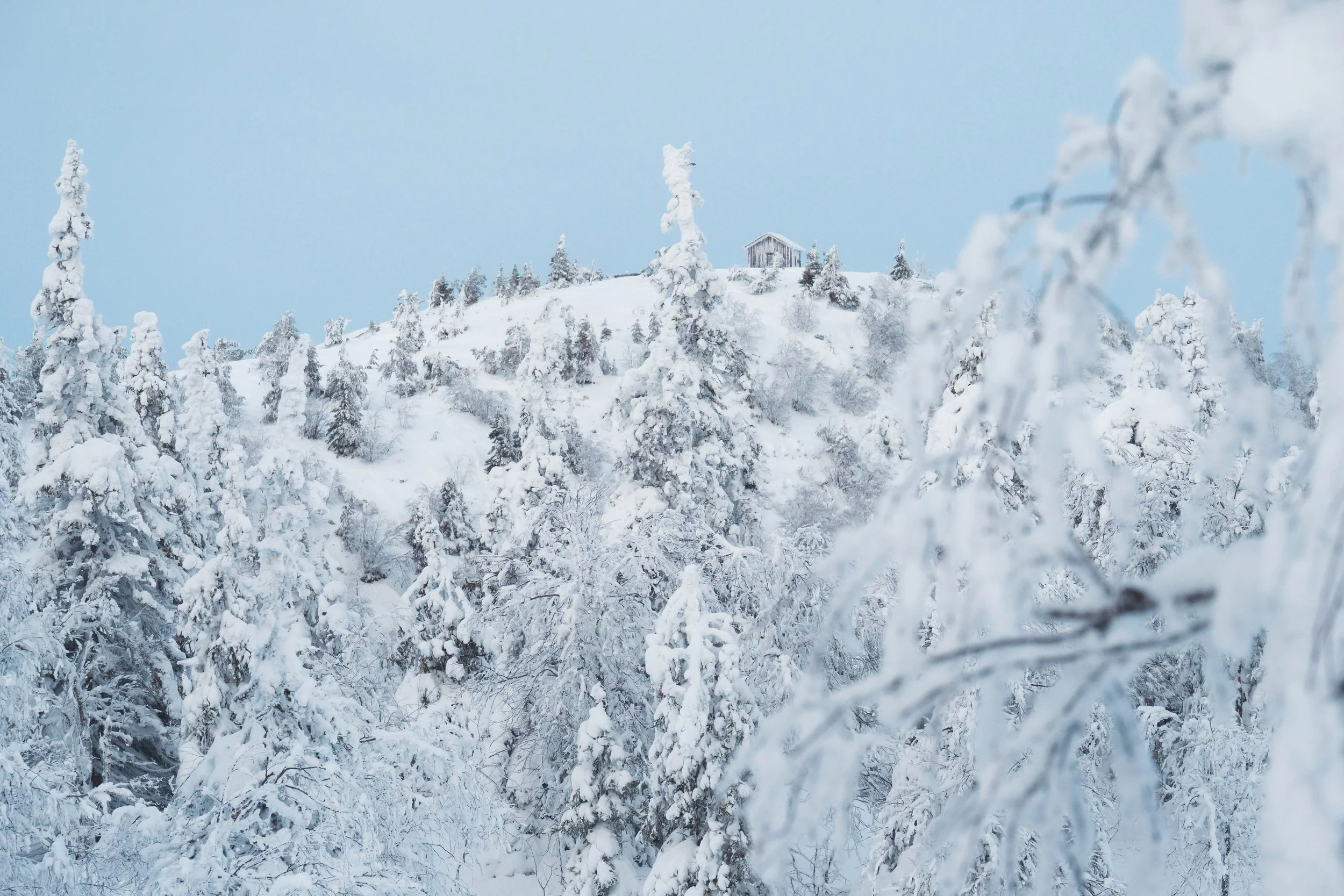 Finnish Lapland - 1766125.jpg