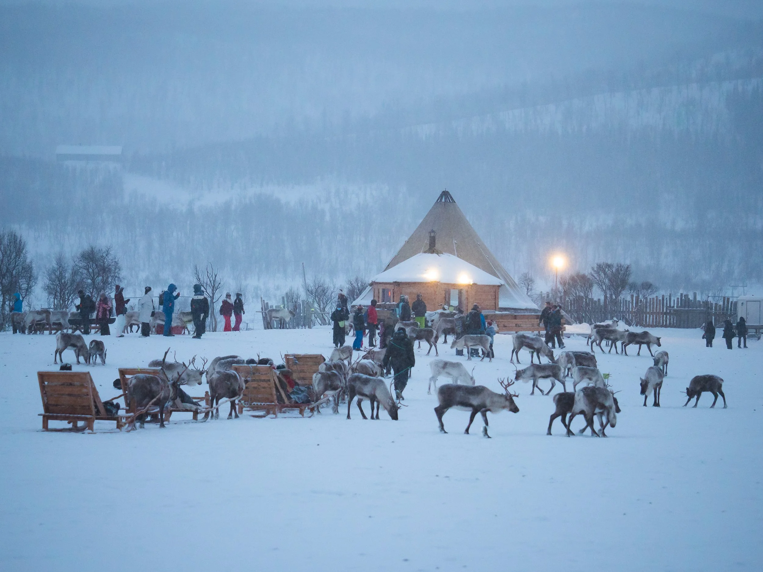 Inside the Arctic Circle- A Trip to Tromso - 1322930.jpg