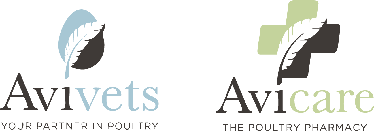 Avivets