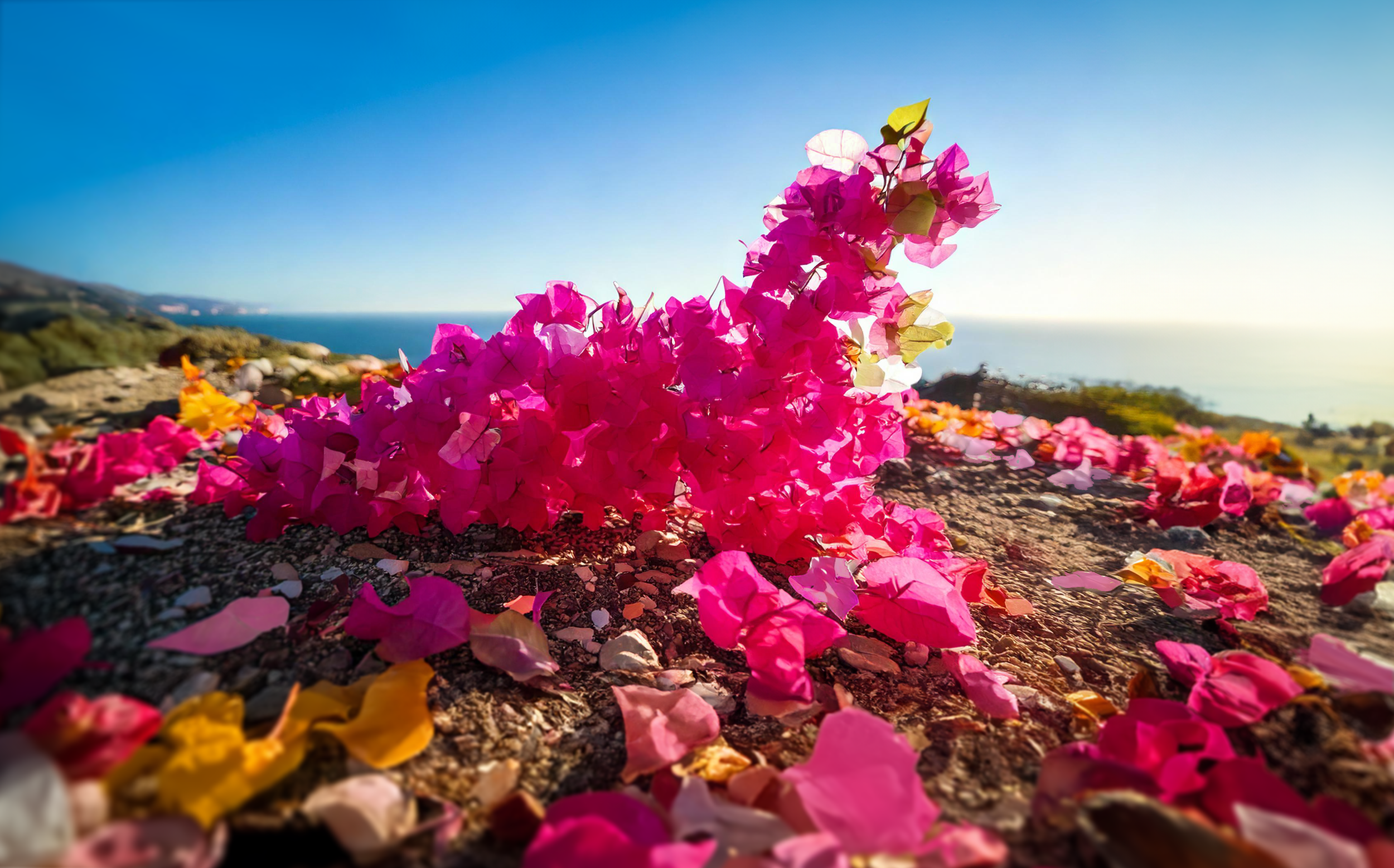 BOUG_Level-8-Bloom-Part-2_R03.png