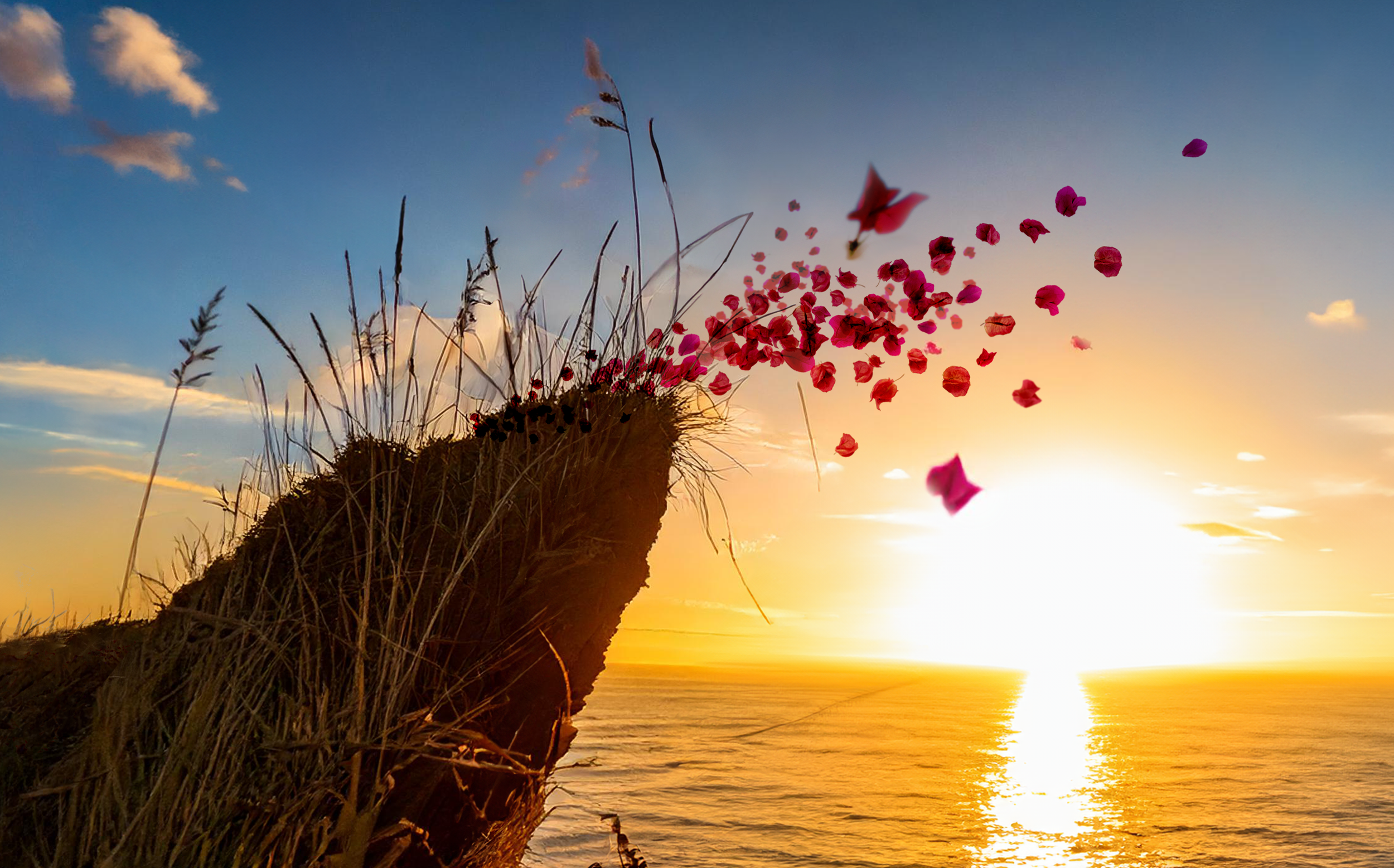 BOUG_Level-8-Bloom-Part-3_R02.png