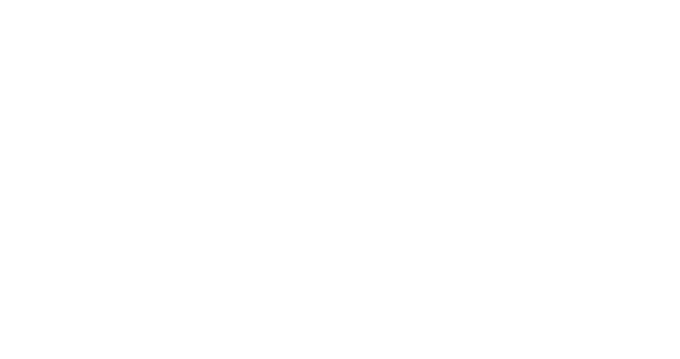 Text that reads 'LEMONADE STAND' in white letters on a black background.