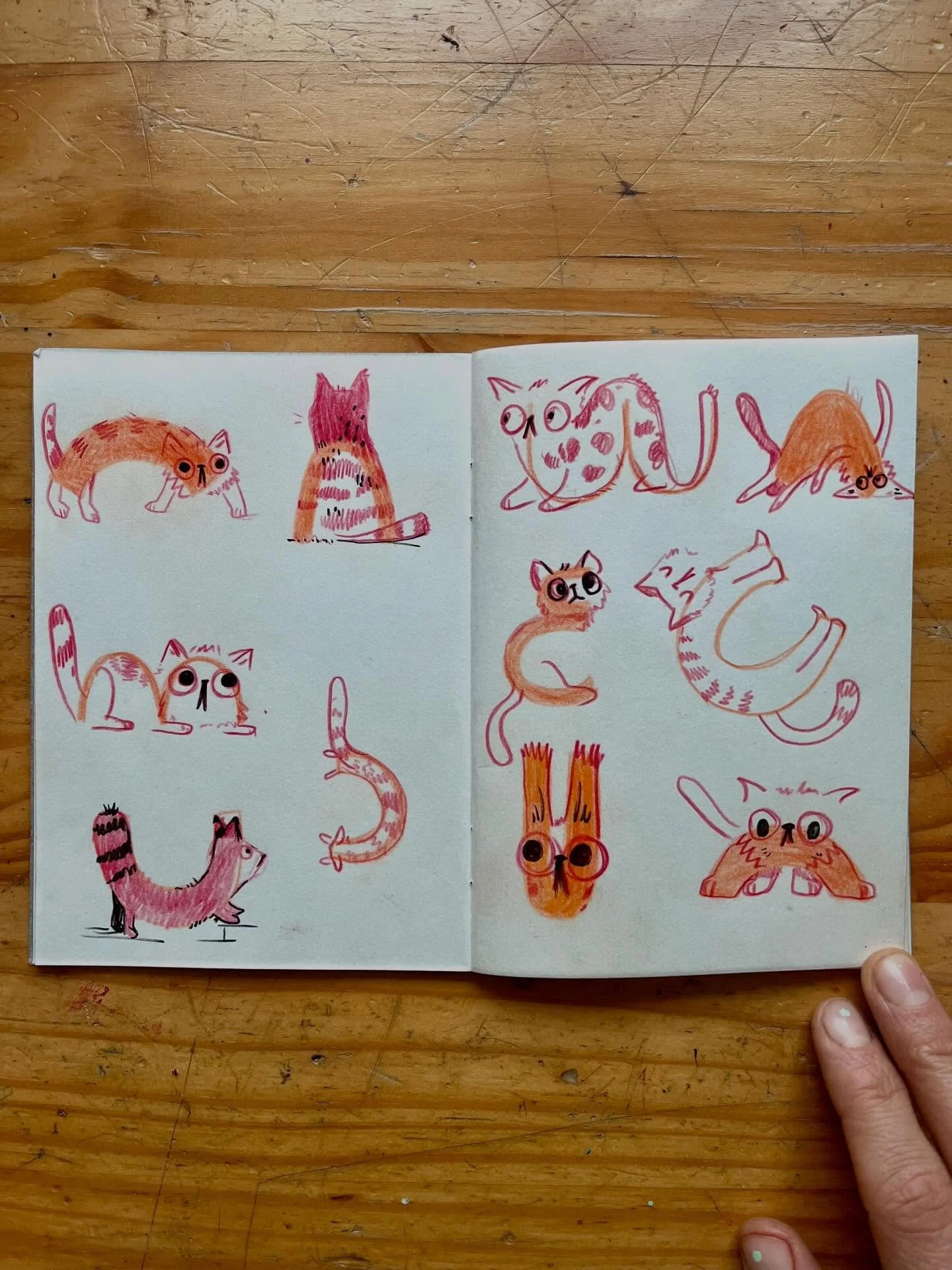 This is your sign to join ✨Lazy Sketchbook Club ✨ 

Each week we turn random shapes into drawings, like this week: ARCS into CATS. Starting with a random shape takes the pressure off to draw a perfect cat, and lets you actually explore creatively! Yo