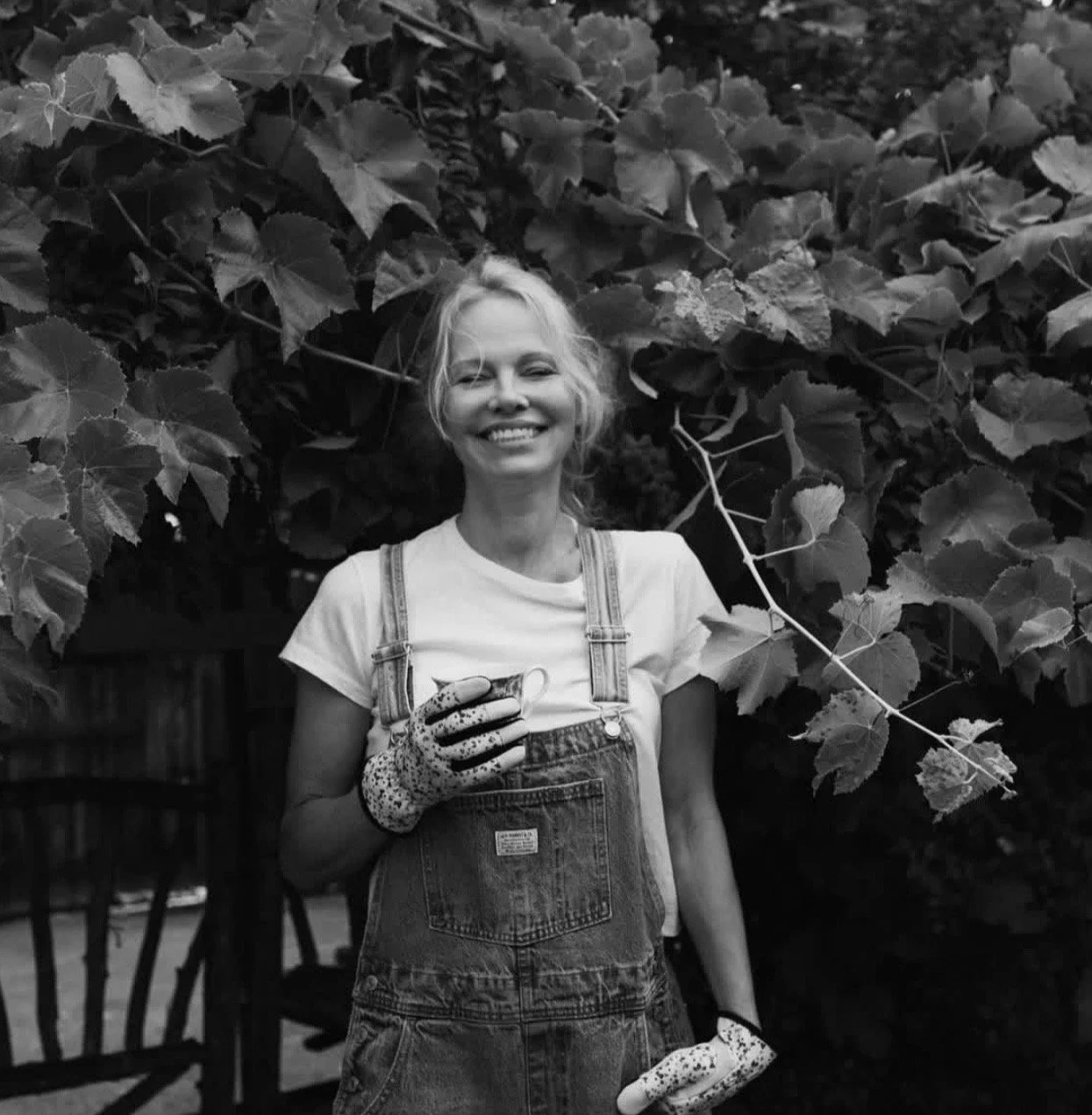 Image 09-07-2025 at 10.12.jpeg