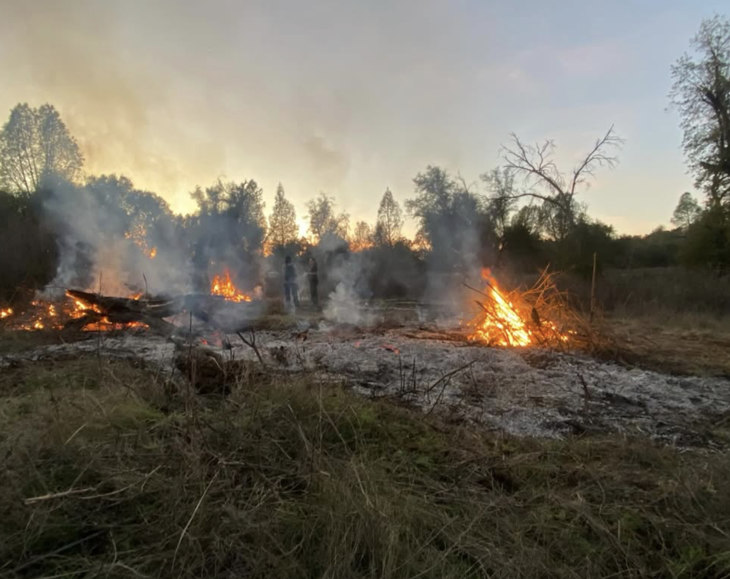 Indigenous Agroforestry Network Quarterly Webinar