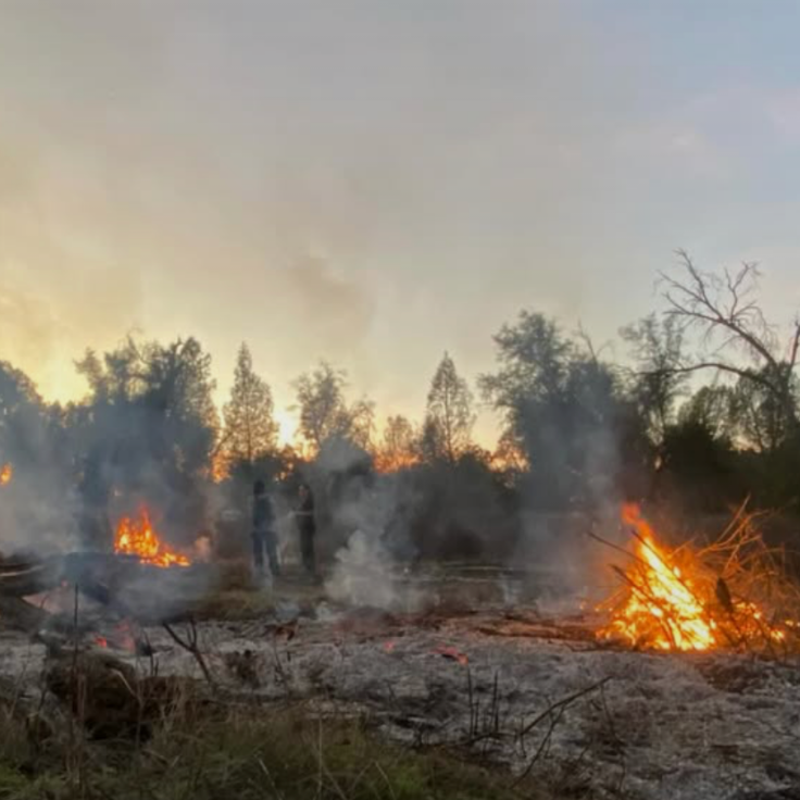 Cultural Fire