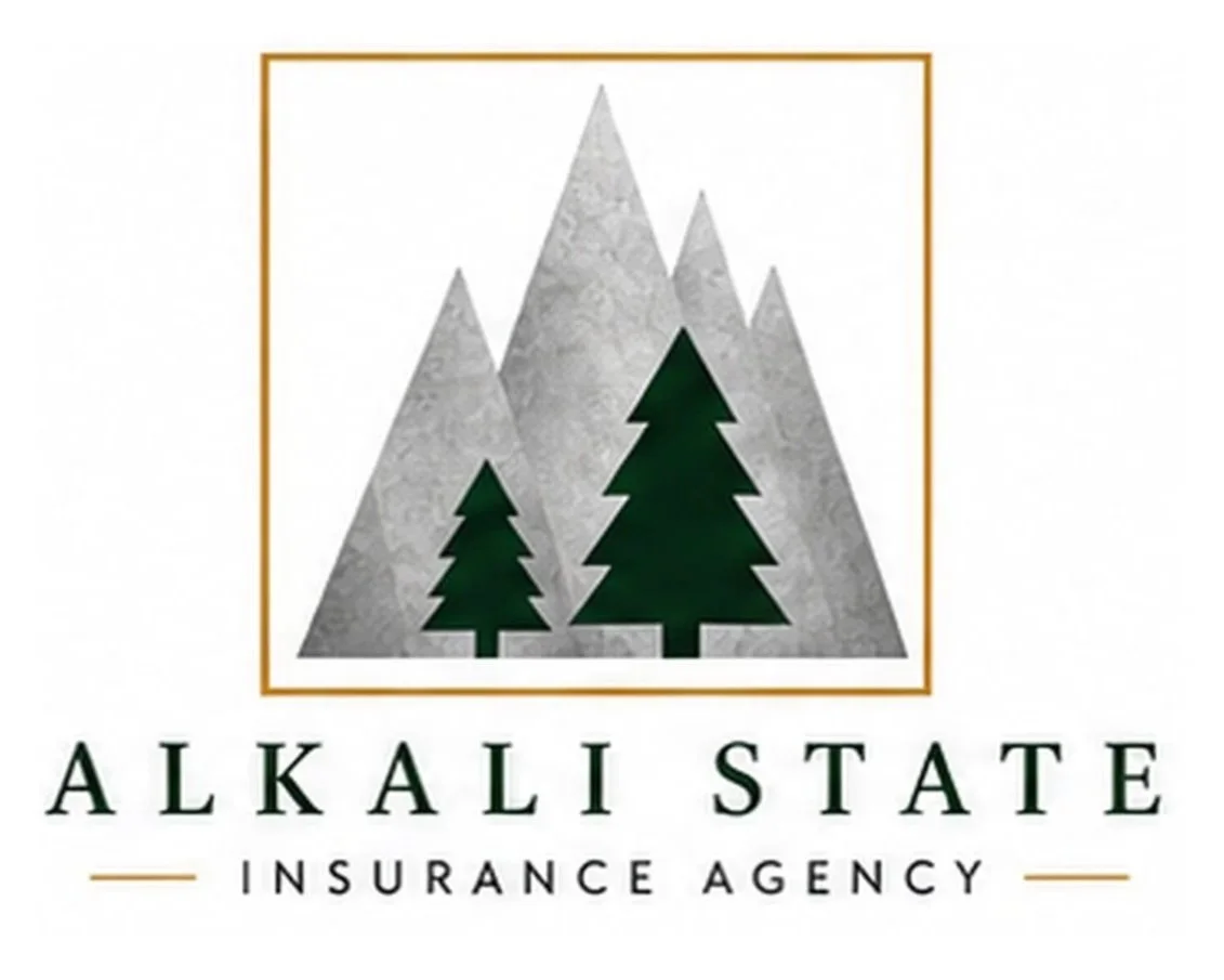 Alkali State Insurance Agency