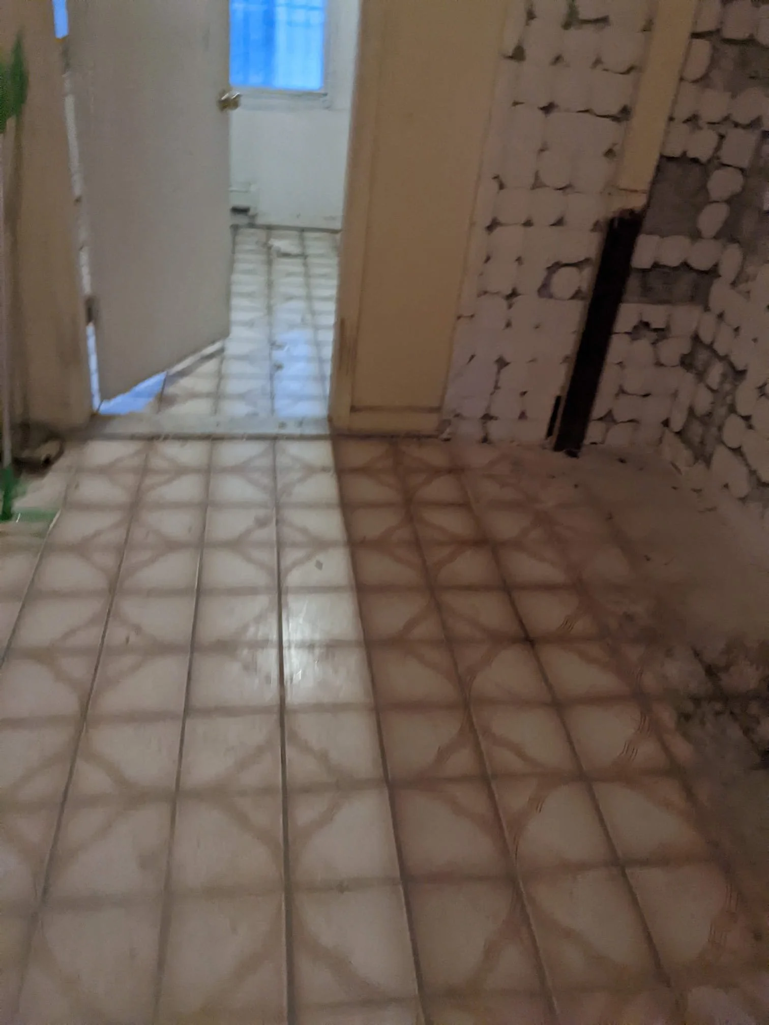 WhatsApp Image 2025-07-14 at 13.13.17.jpeg