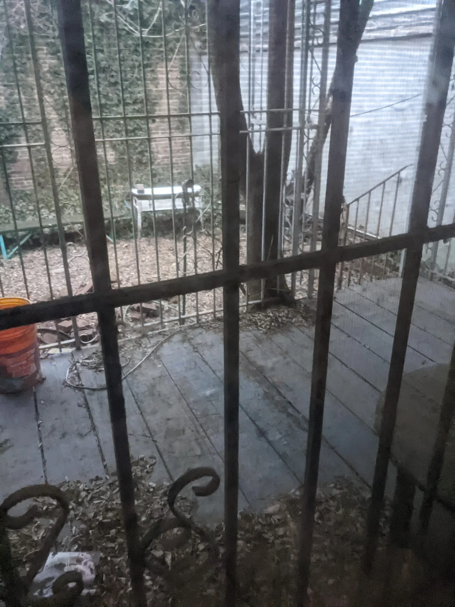 WhatsApp Image 2025-07-14 at 13.13.16 (5).jpeg