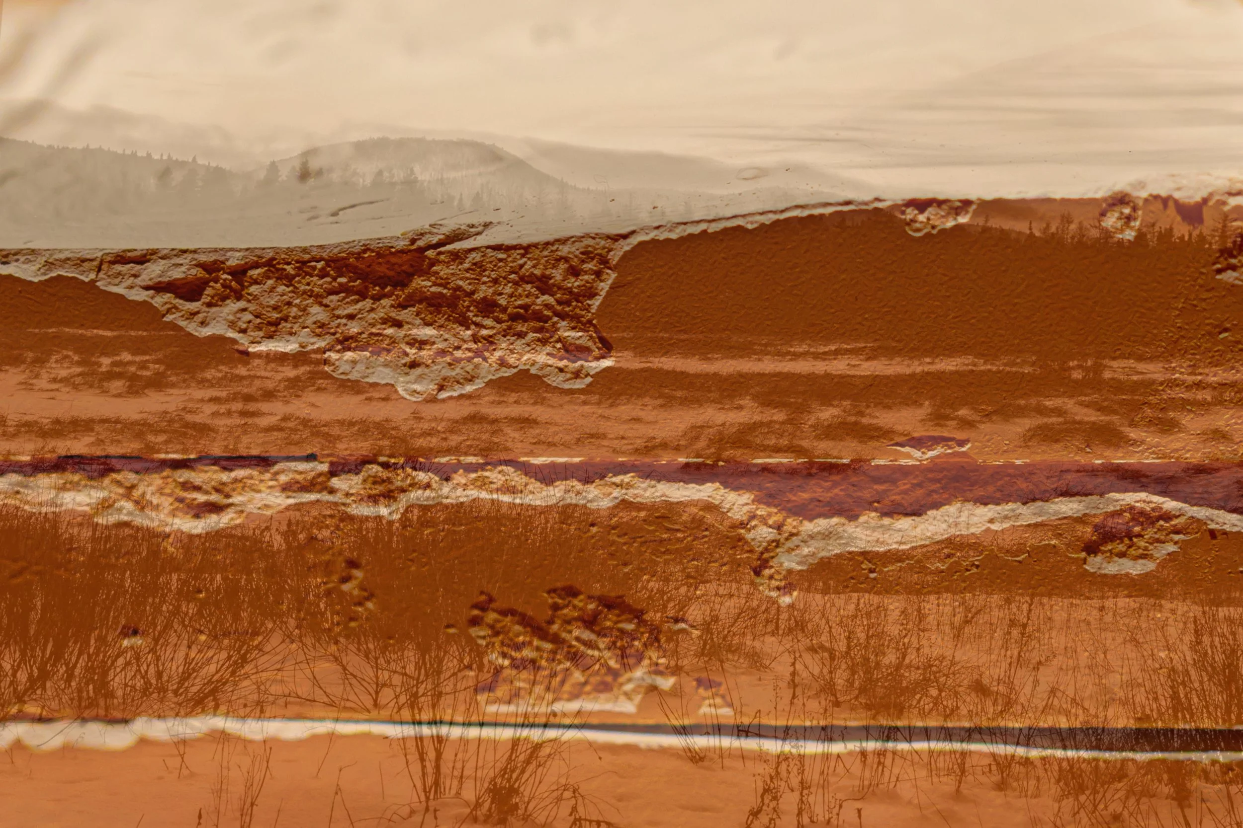 Une plage avec des dunes et des arbres, superposée avec des montagnes et de l'eau, donnant un effet artistique de double exposition.
