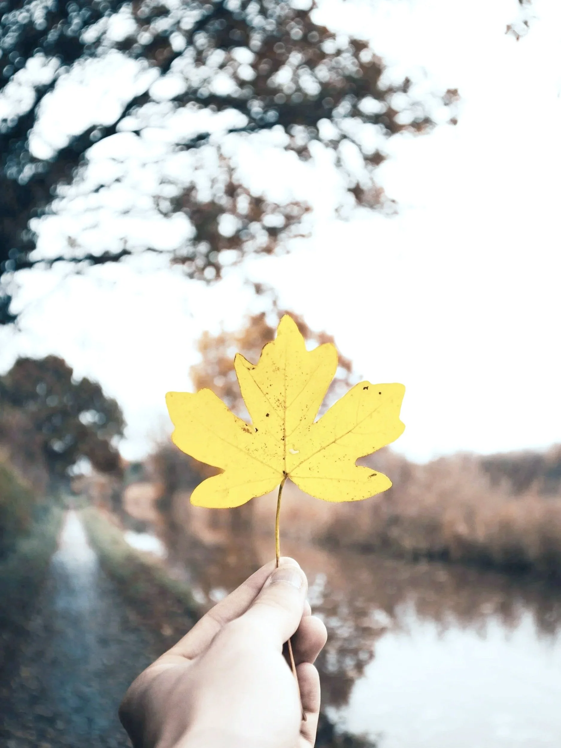 unsplash-image-Pqr_CT08LQY.jpg