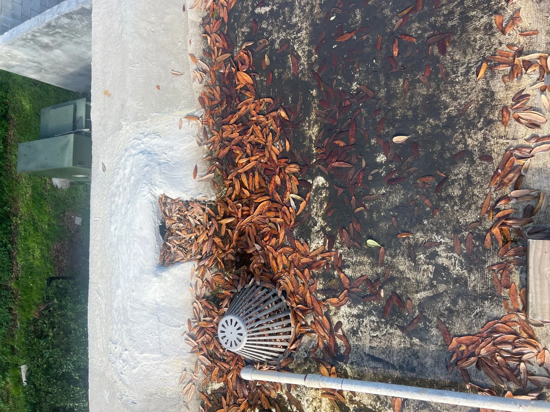 PMP-clogged drain before.jpg