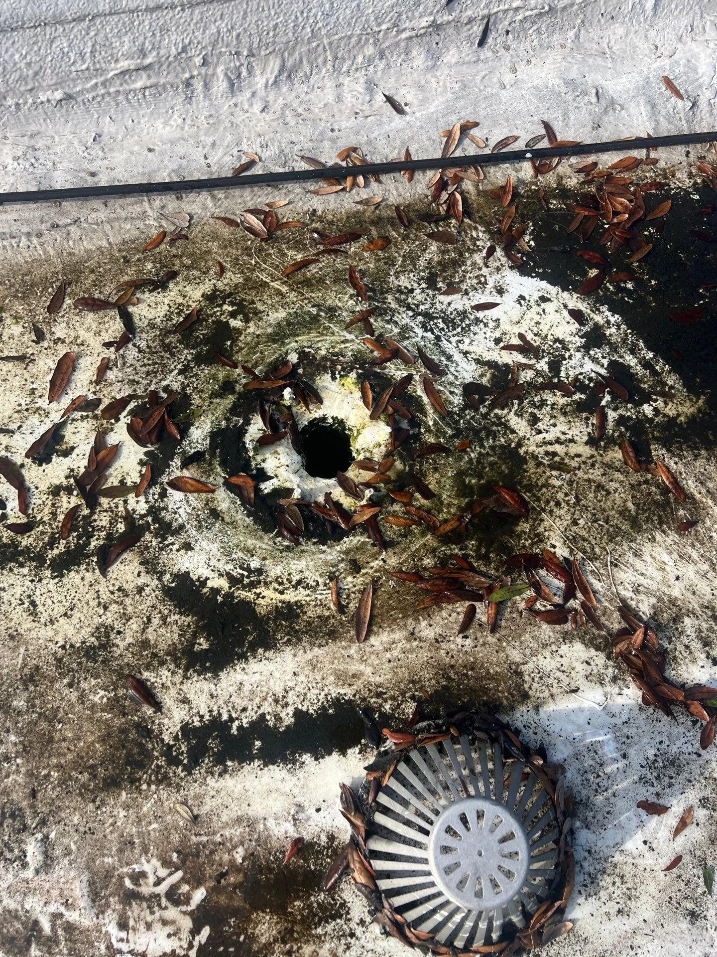 pmp-clogged drain after.jpg