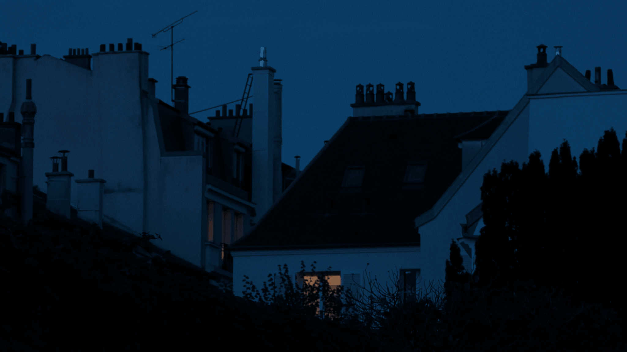 Bleu_06.png
