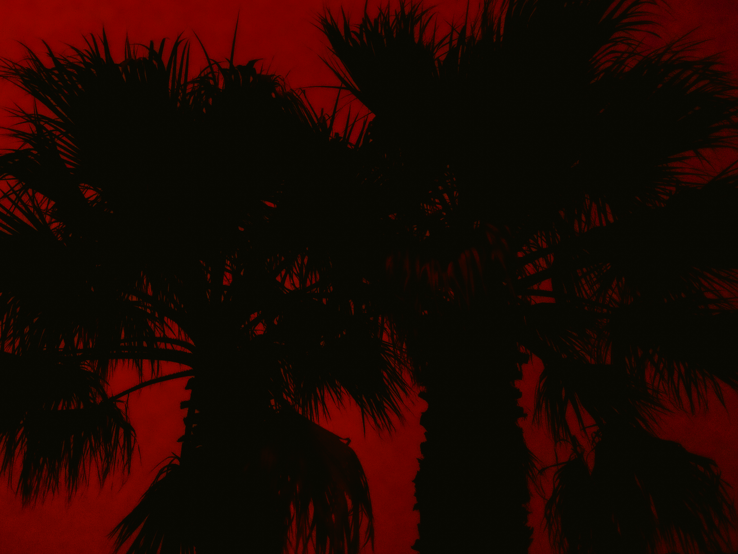 Rouge_08.png