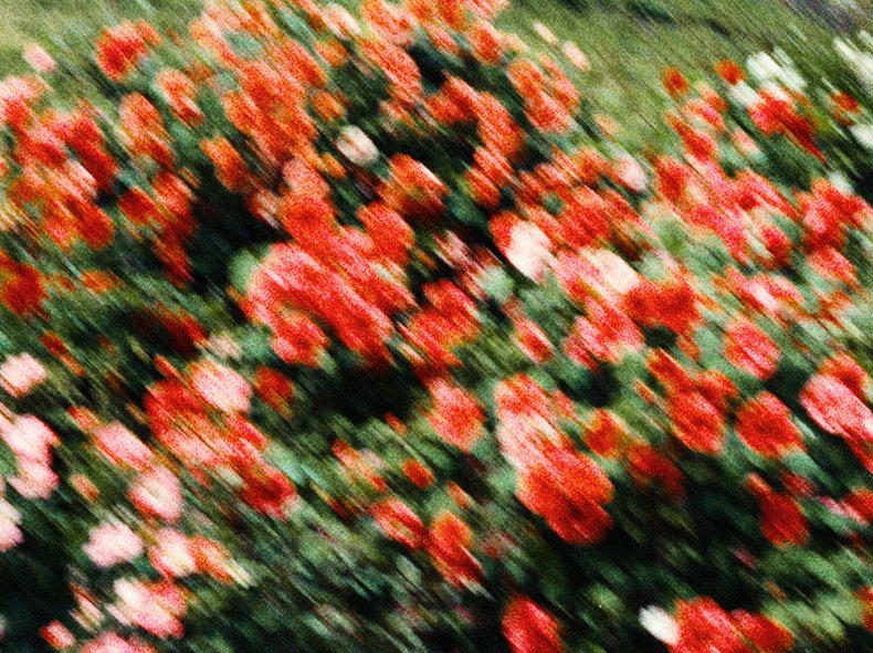 Observations_06.jpg